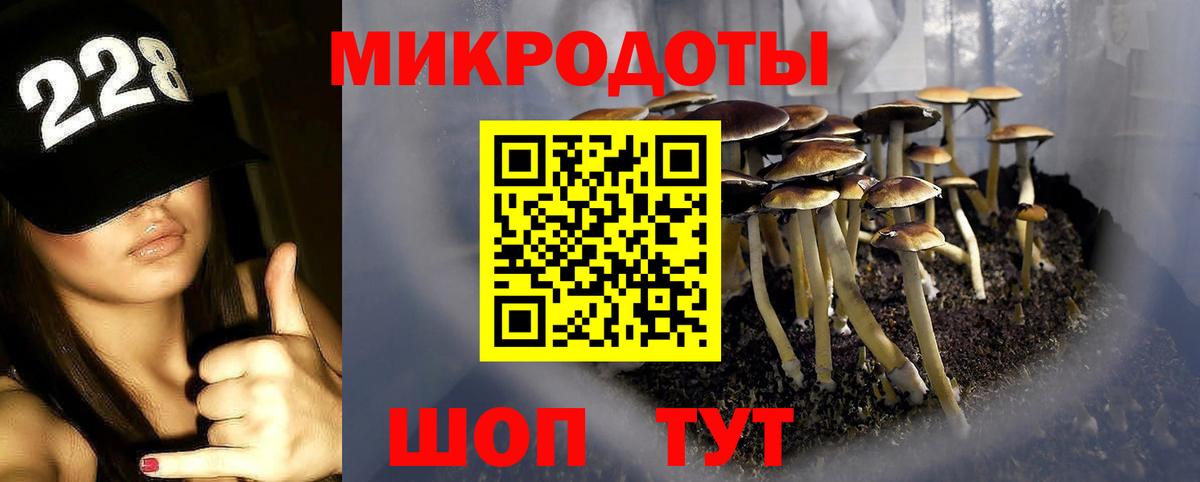Верхняя Салда  Галлюциногенные грибы прущие грибы  Вход с VPN 